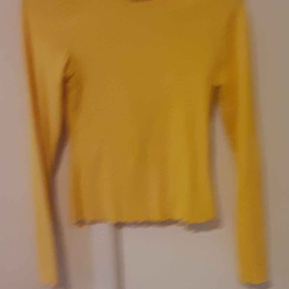 Wild fable ribbed turtle neck